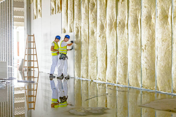 Best Insulation for New Construction  in Dalton, PA